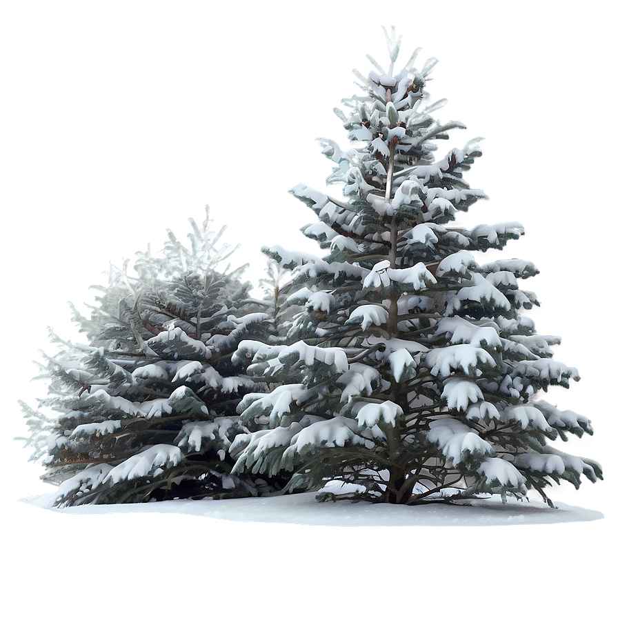 Christmas Eve Snowfall Png 62 PNG Image