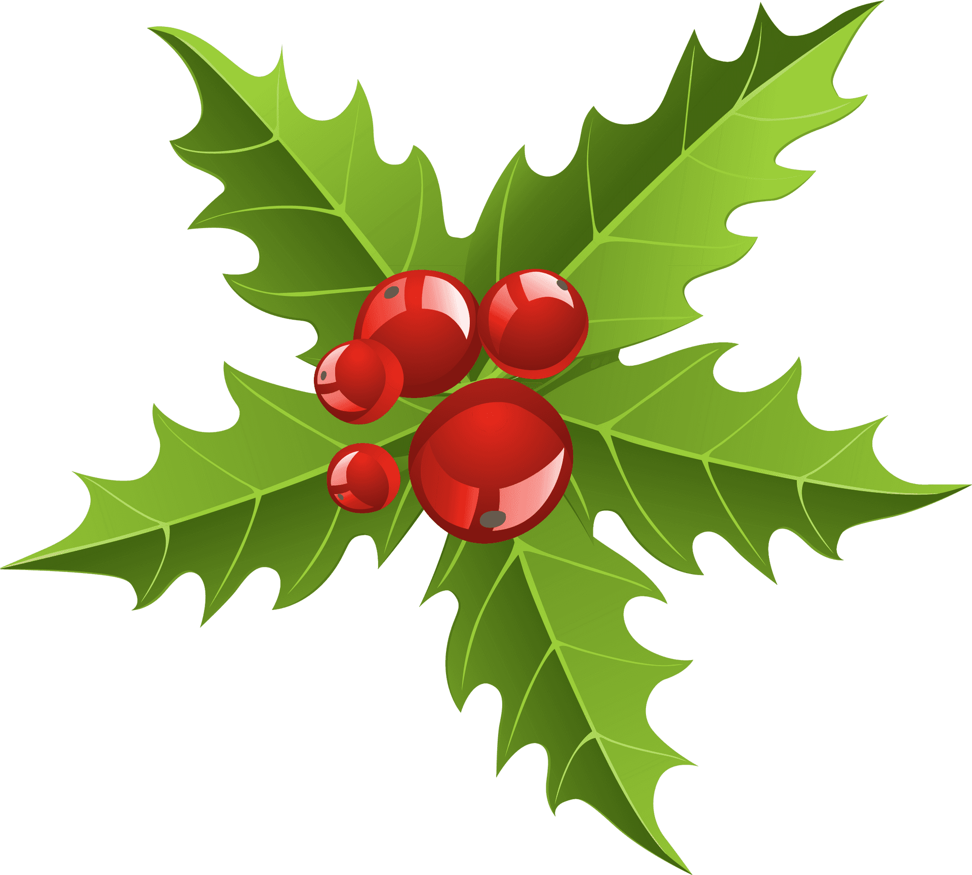 Christmas Holly Berries Illustration PNG Image