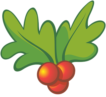 Christmas Holly Illustration PNG Image