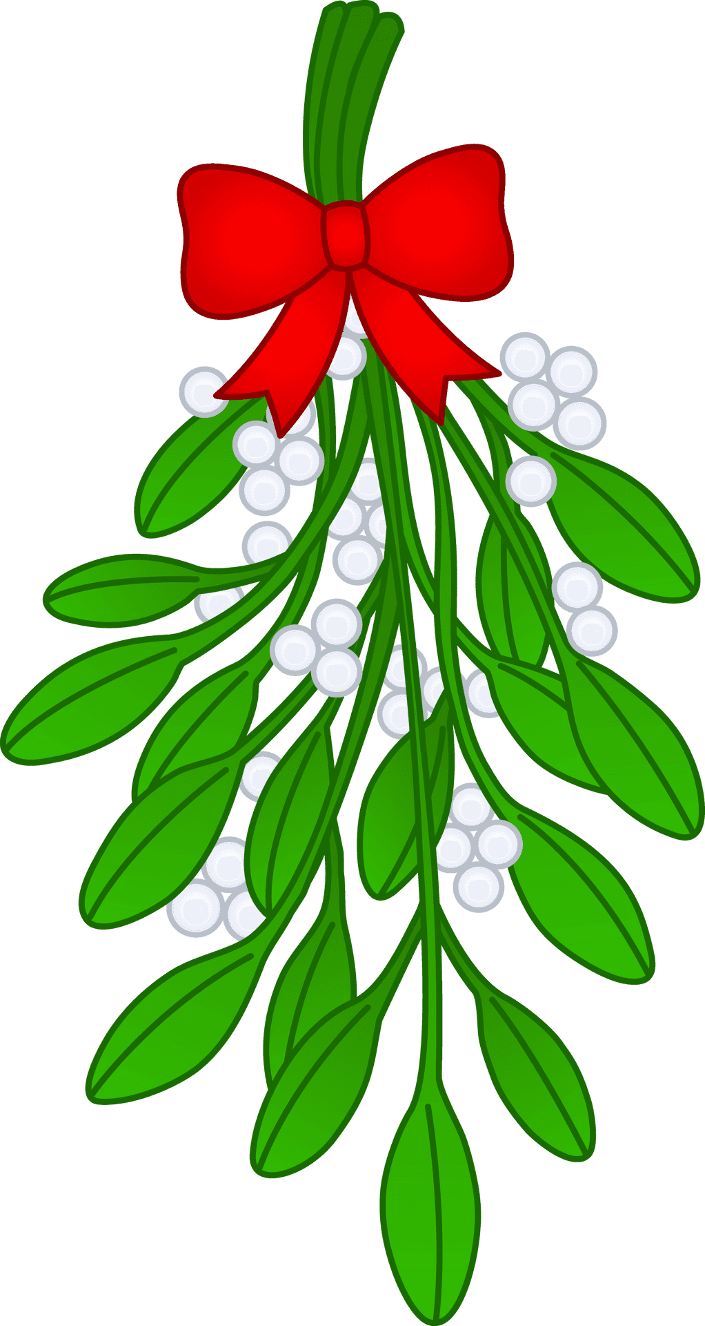 Christmas Mistletoe Illustration.png PNG Image