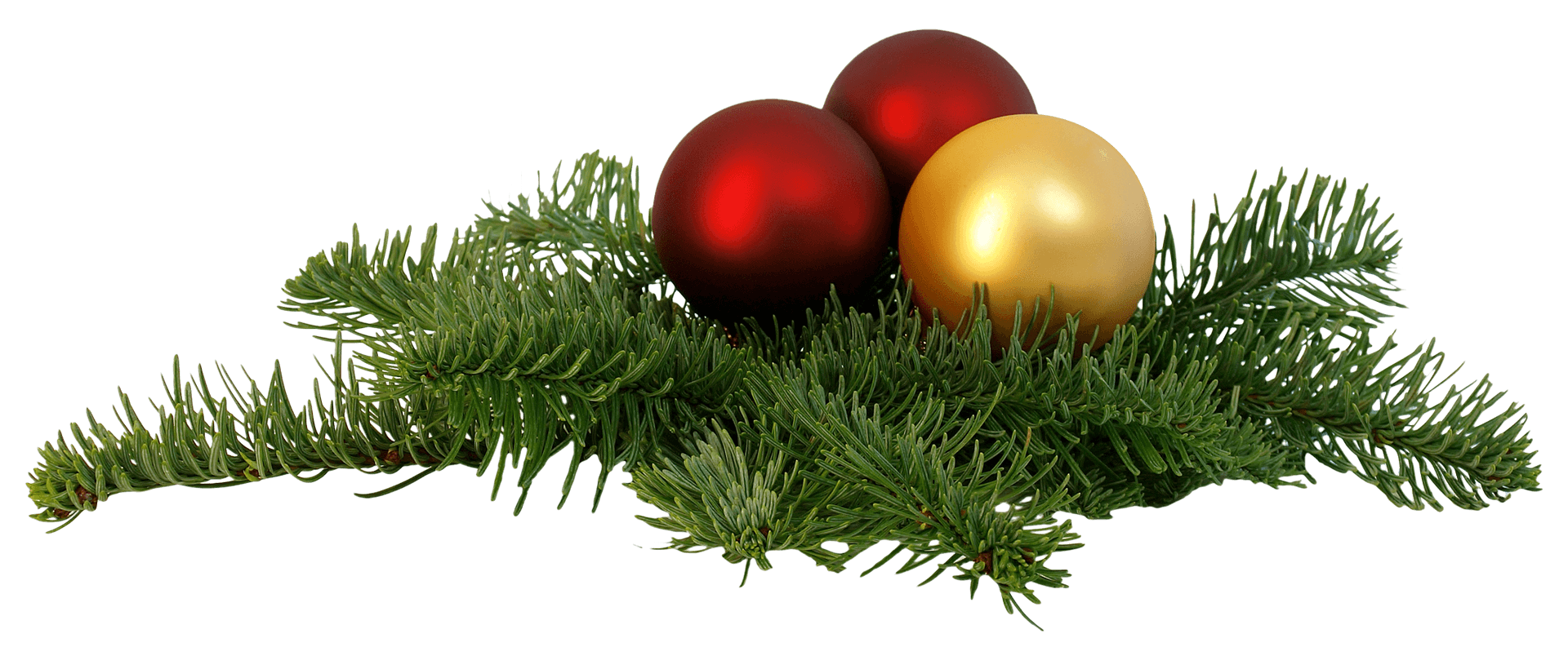 Christmas Ornamentson Pine Branch PNG Image