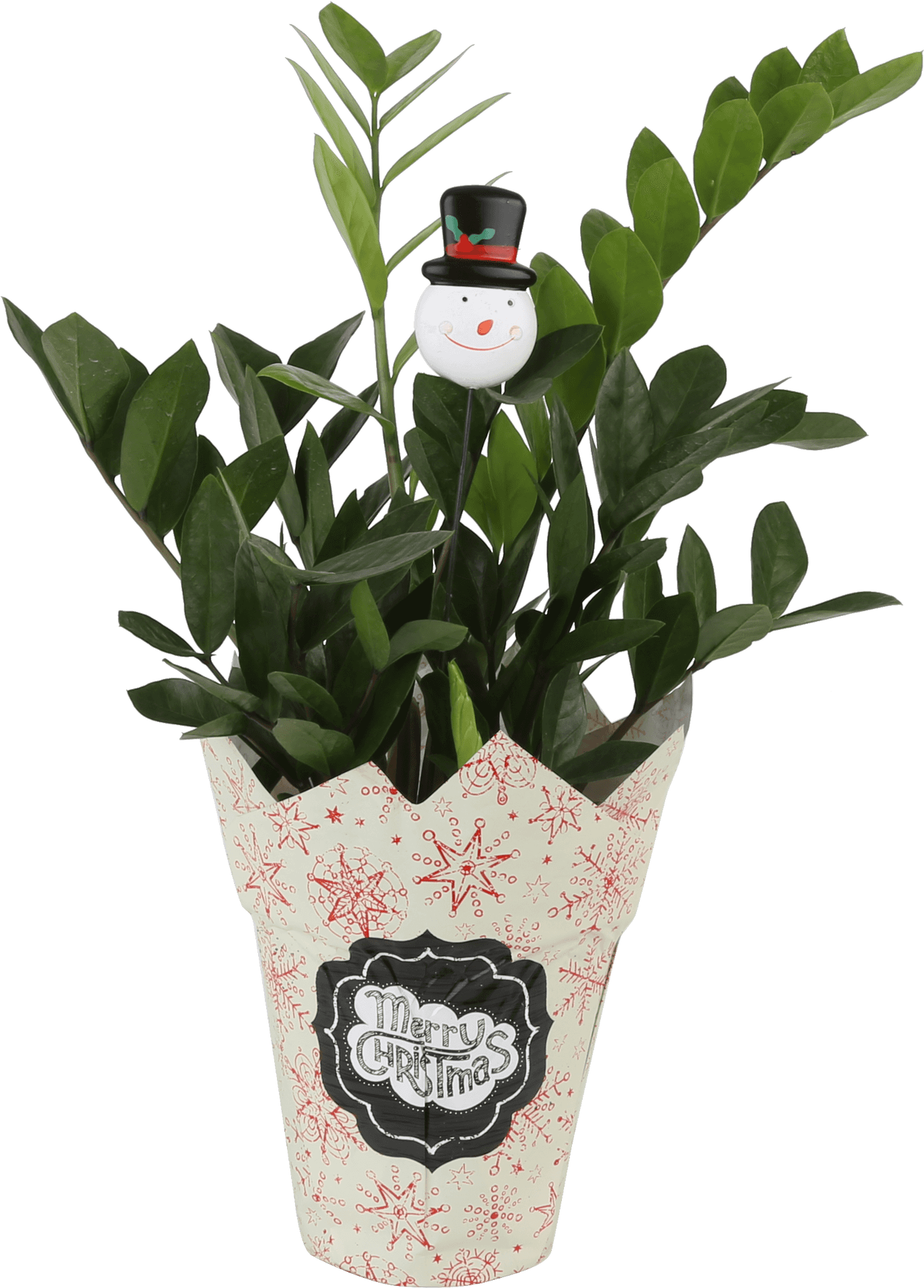 Christmas Plant Potwith Snowman Decoration PNG Image