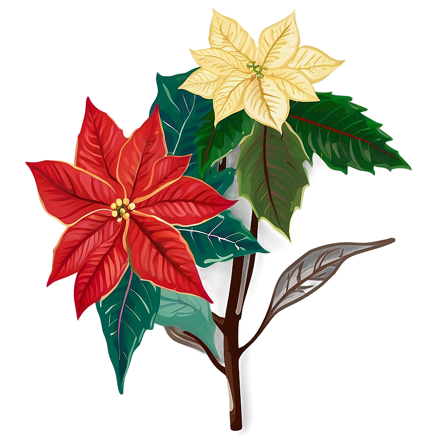 Christmas Poinsettia Flower Png Dpb93 PNG Image