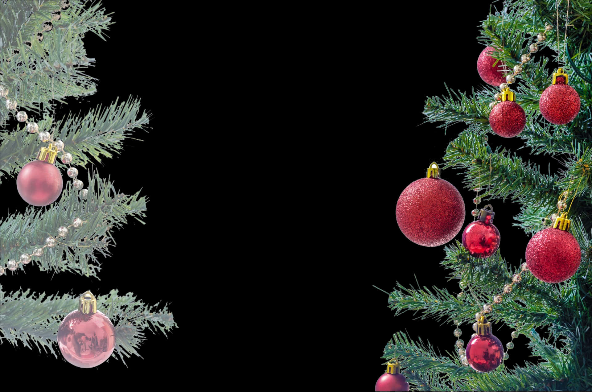 Christmas Tree Branches Red Ornaments PNG Image