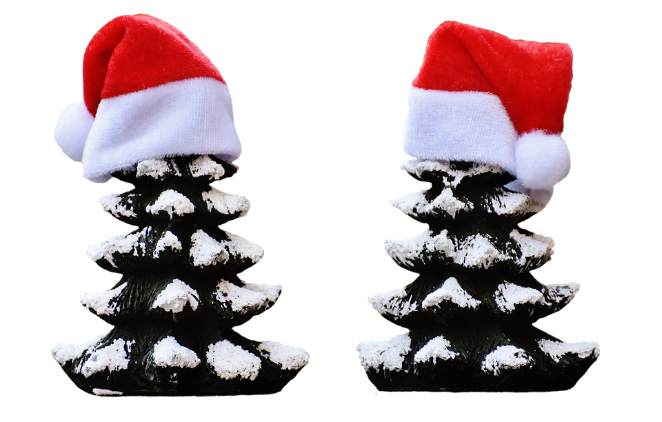 Christmas Treeswith Santa Hats PNG Image