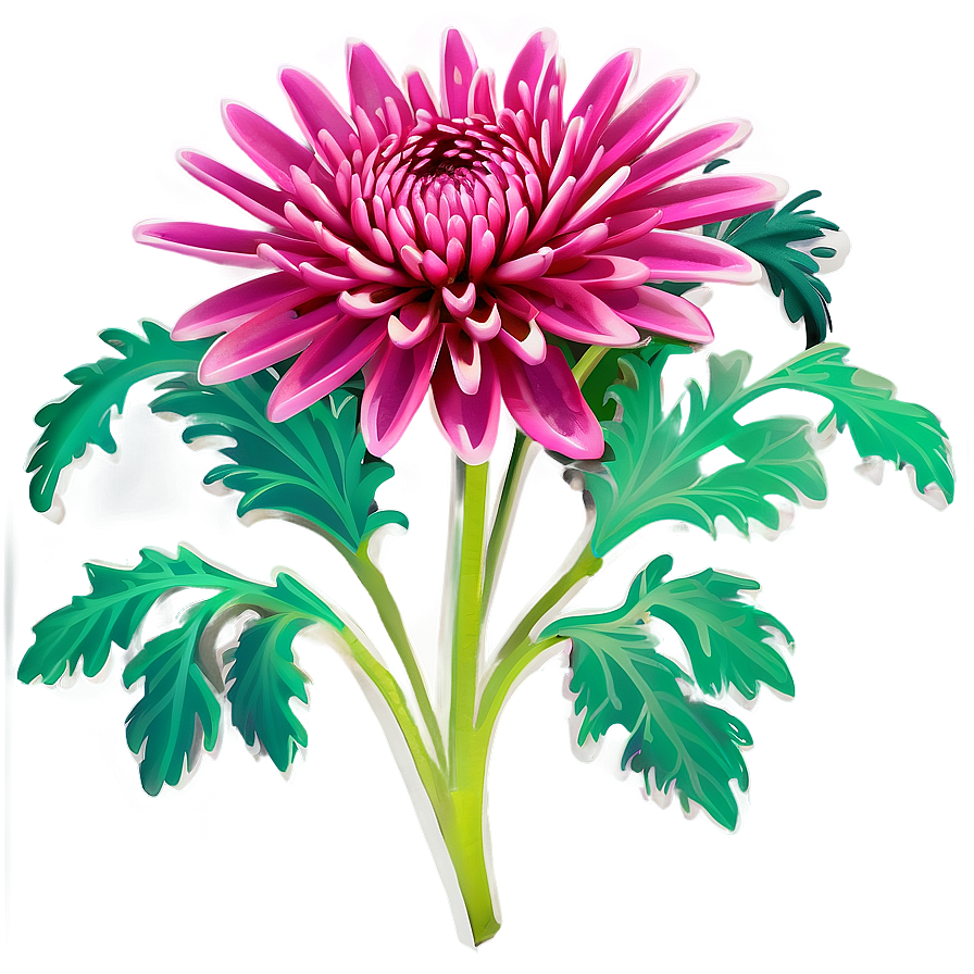 Chrysanthemum Cultural Symbol Png 44 PNG Image