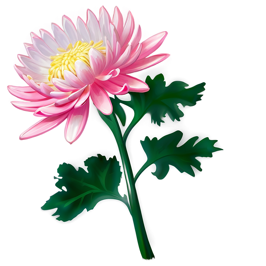 Chrysanthemum Cultural Symbol Png Apt95 PNG Image