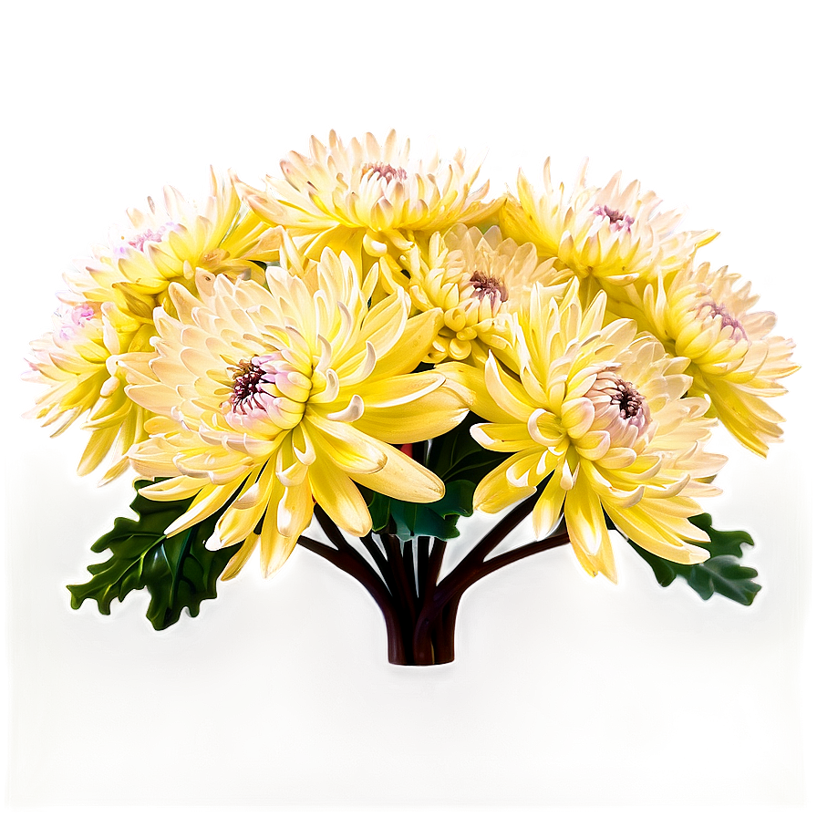 Chrysanthemum Landscape View Png Opm PNG Image