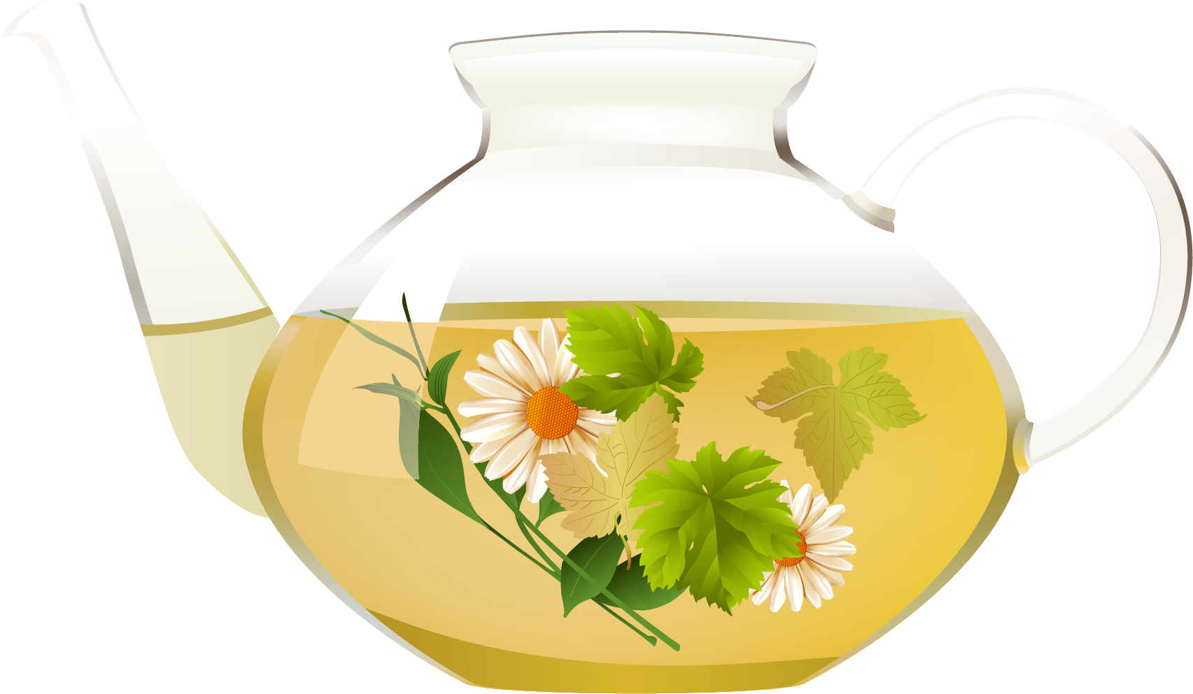 Chrysanthemum Teain Glass Teapot PNG Image