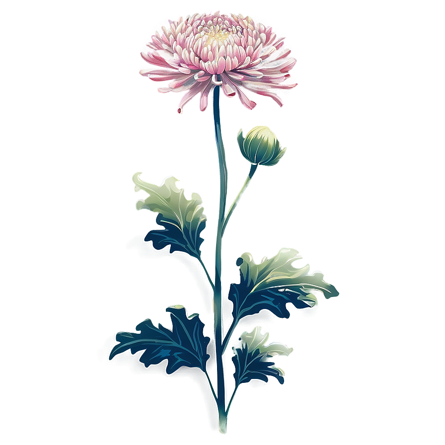 Chrysanthemum Traditional Art Png 56 PNG Image