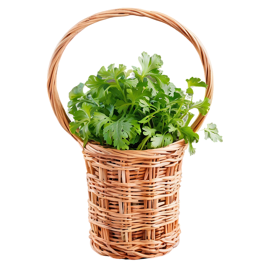 Cilantro In Basket Png Vhx PNG Image