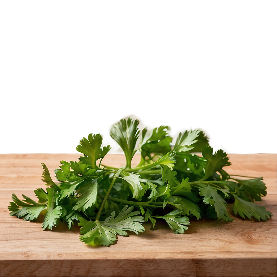 Cilantro On Cutting Board Png Him69 PNG Image