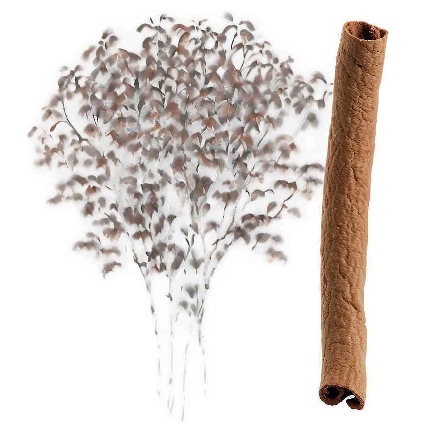 Cinnamon A PNG Image