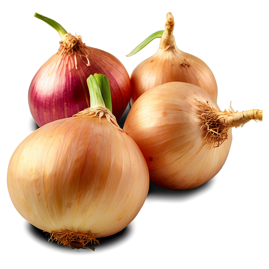 Cipollini Onion Bunch Png 06122024 PNG Image