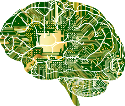 Circuit Board Brain Illustration PNG Image