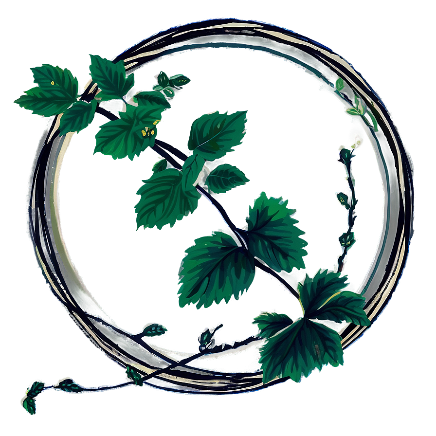 Circular Vine Illustration PNG Image