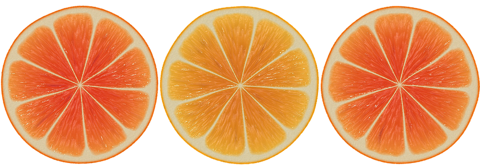 Citrus Fruit Slices Triptych PNG Image