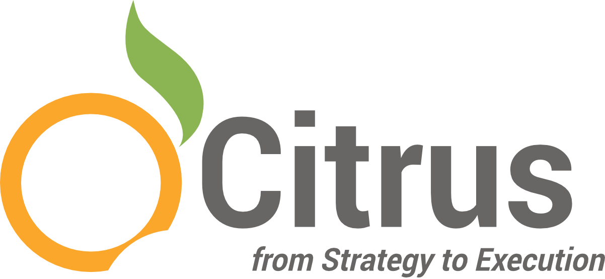 Citrus Strategyto Execution Logo PNG Image