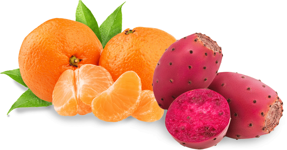 Citrusand Cactus Fruit Display PNG Image