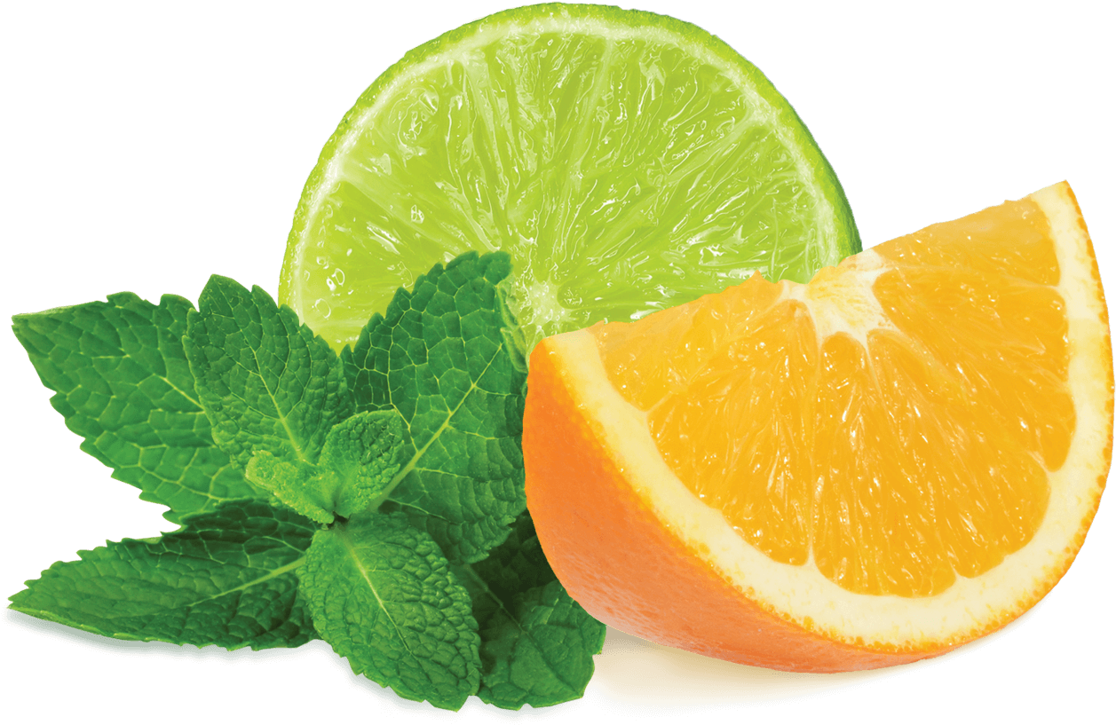 Citrusand Mint Freshness PNG Image