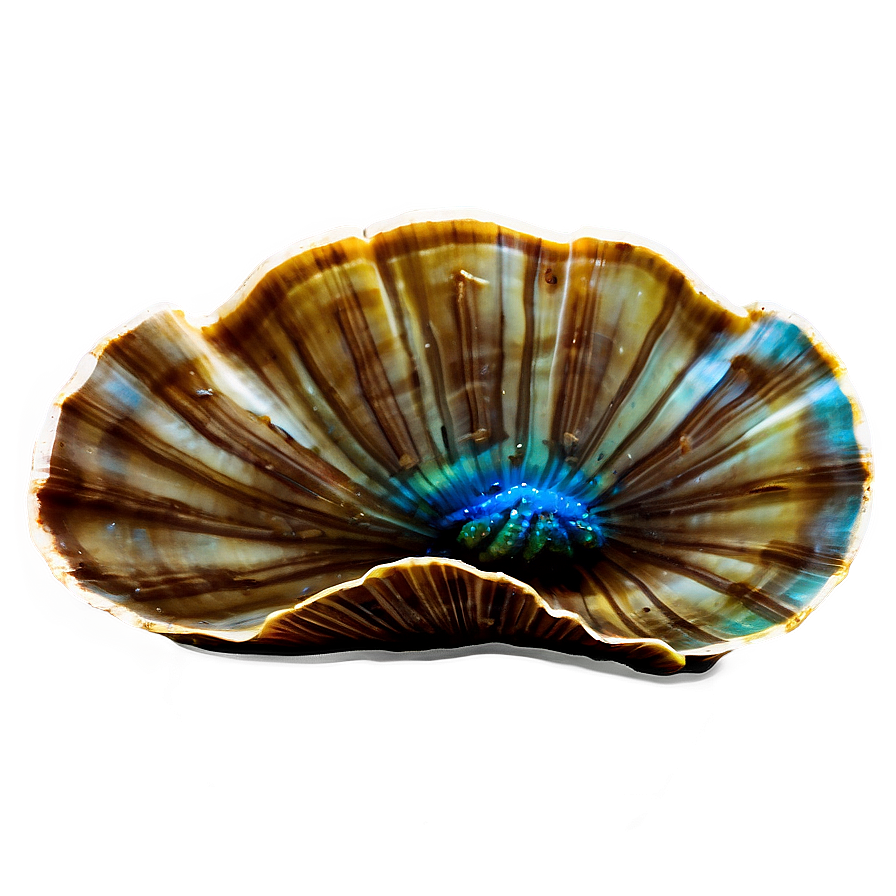 Clam With Coral Reef Background Png Ynl21 PNG Image