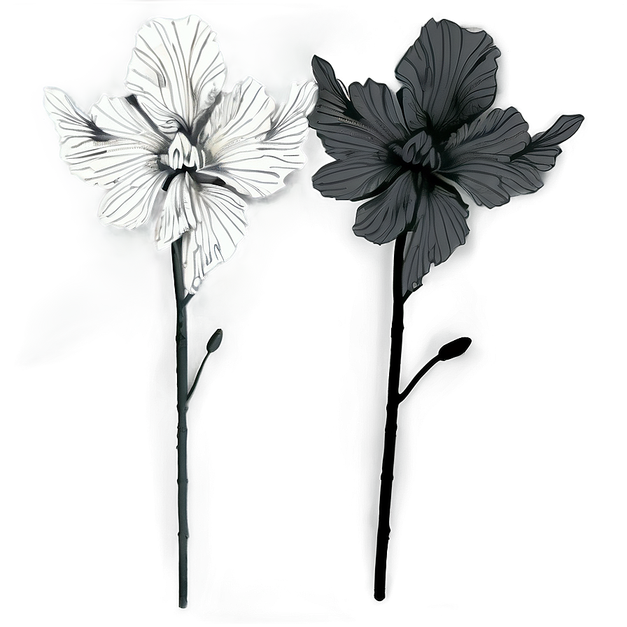 Classic Black And White Floral Png Oaj PNG Image