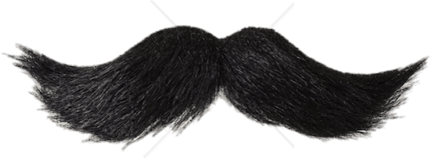 Classic Black Moustache Illustration PNG Image