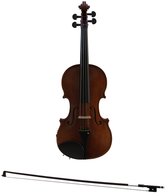 Classic Celloand Bow PNG Image