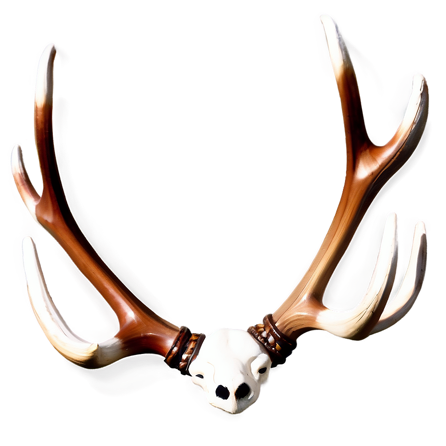 Classic Deer Antler Image Png Tdr66 PNG Image