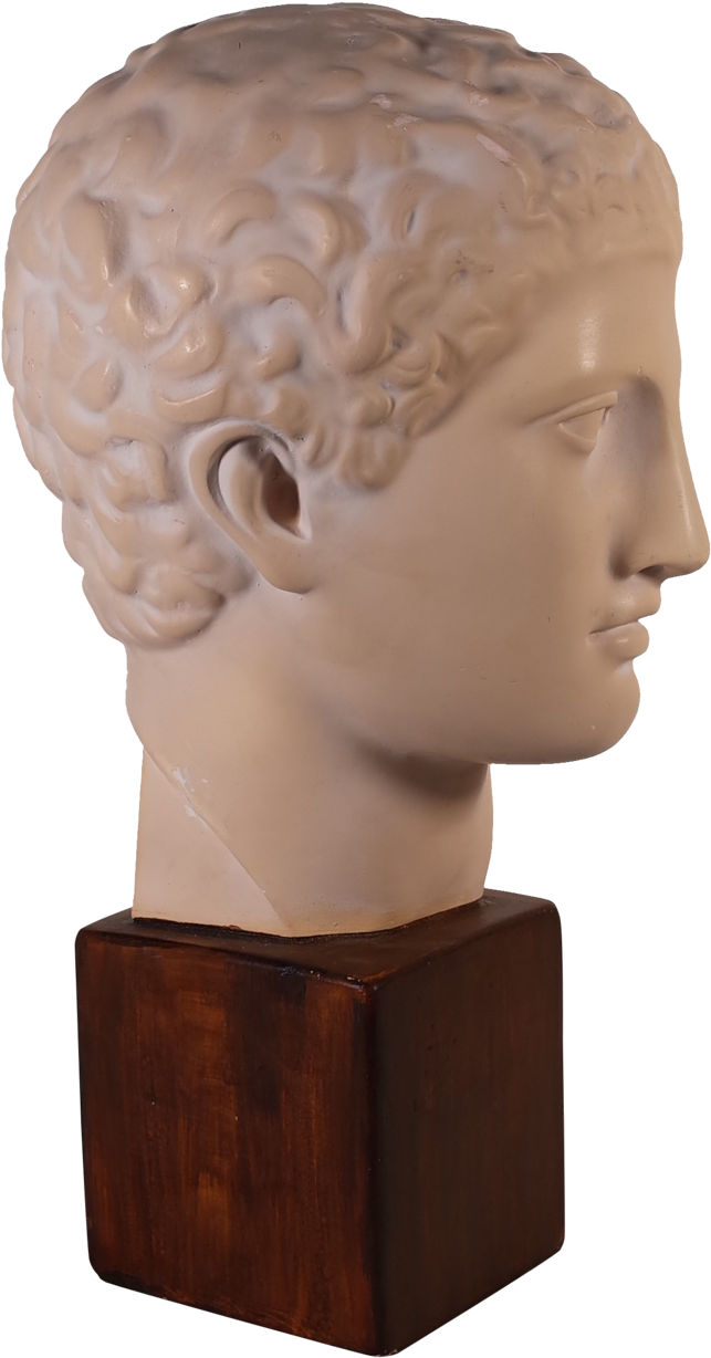 Classical Plaster Bust Sculpture PNG Image