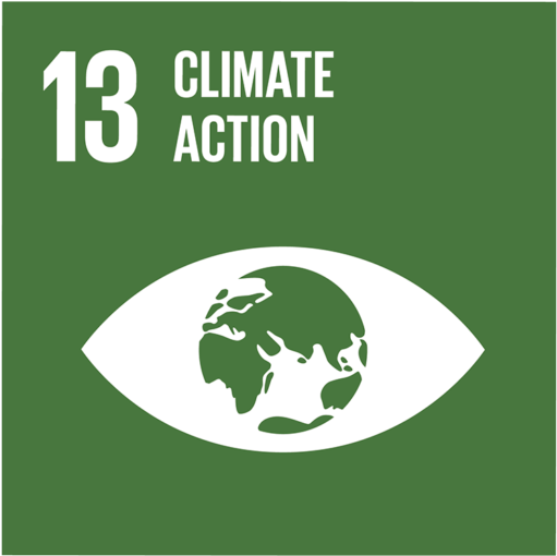 Climate Action Goal13 Icon PNG Image