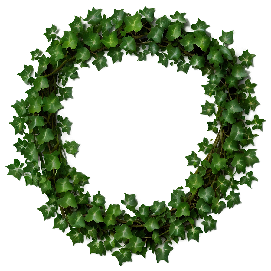 Climbing Ivy Vine Png Hpf PNG Image