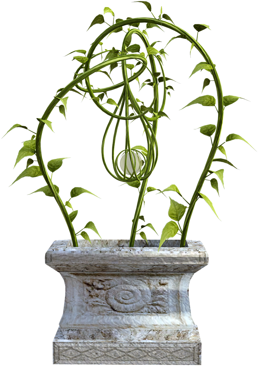 Climbing Plantin Stone Planter PNG Image