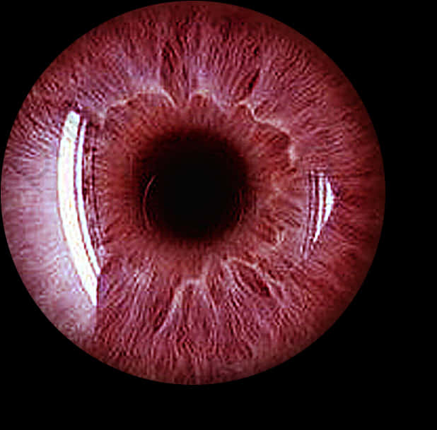 Close Up Human Eye Red Tint PNG Image