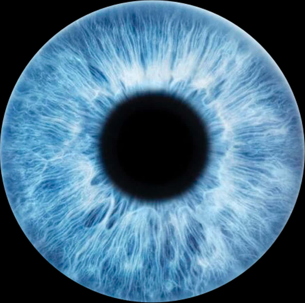 Closeup Blue Human Iris PNG Image