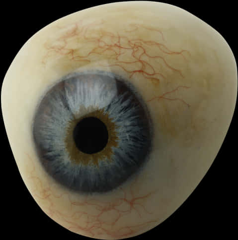 Closeup Human Eye Detail PNG Image