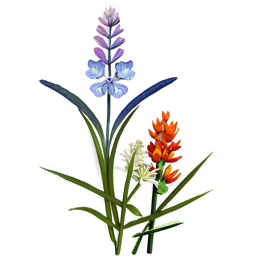 Coastal Wildflowers Scene Png Wkc72 PNG Image