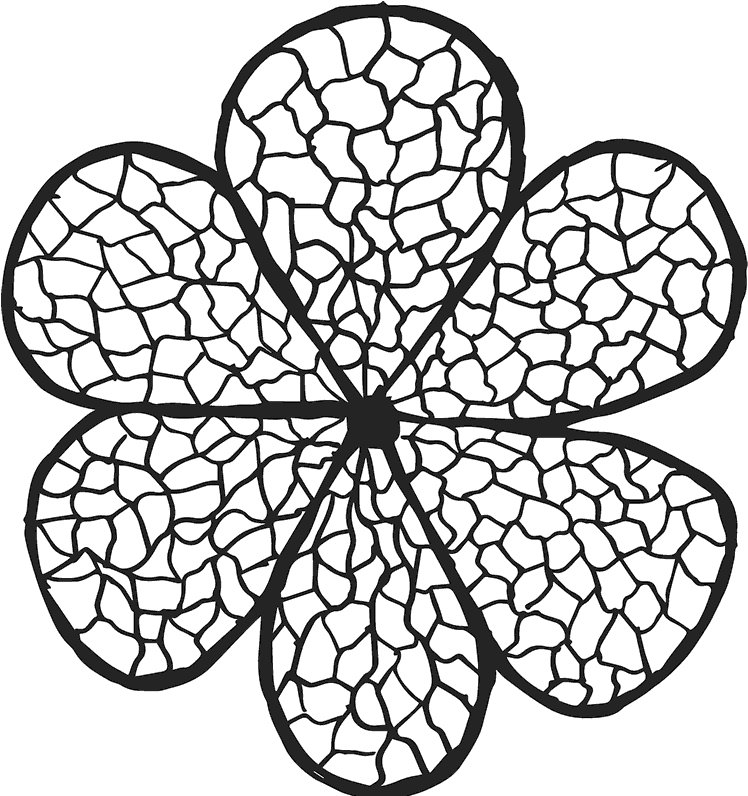 Cobblestone Flower Pattern Graphic PNG Image