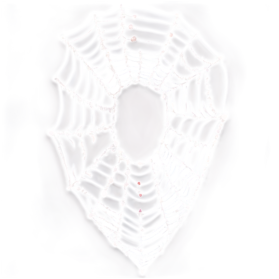 Cobweb Clipart Png Tlq45 PNG Image