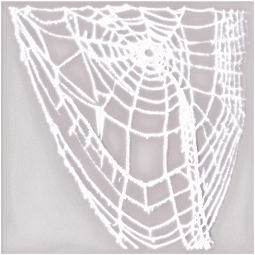 Cobwebs A PNG Image