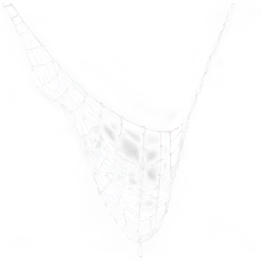 Cobwebs C PNG Image