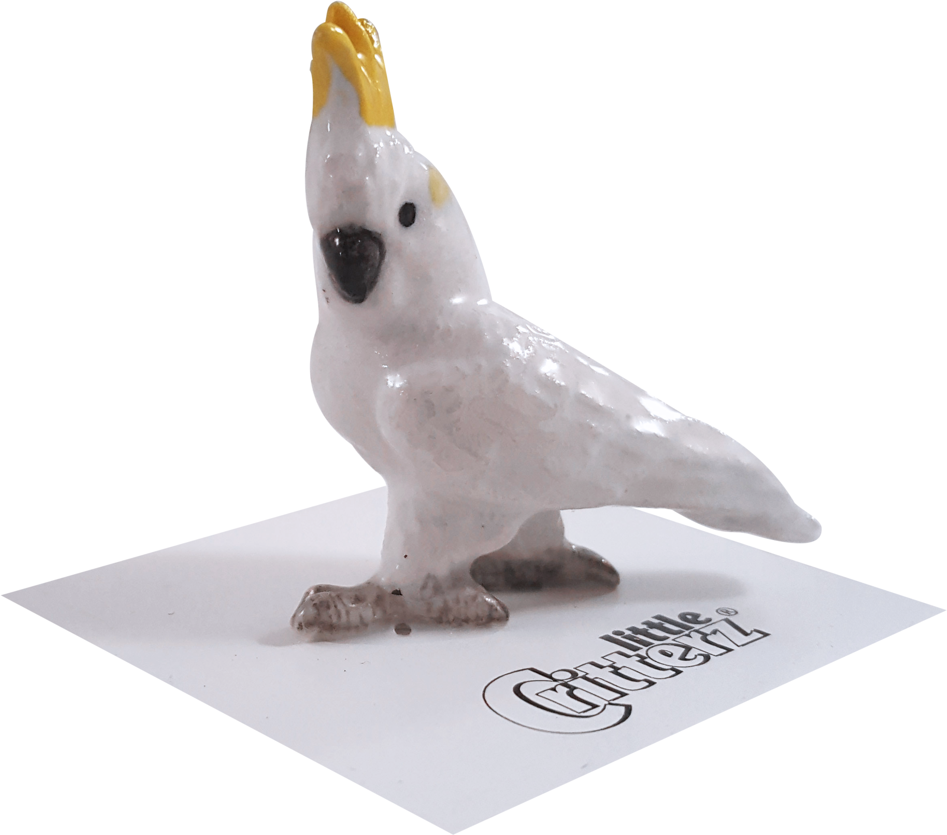 Cockatoo Figurineon Display PNG Image