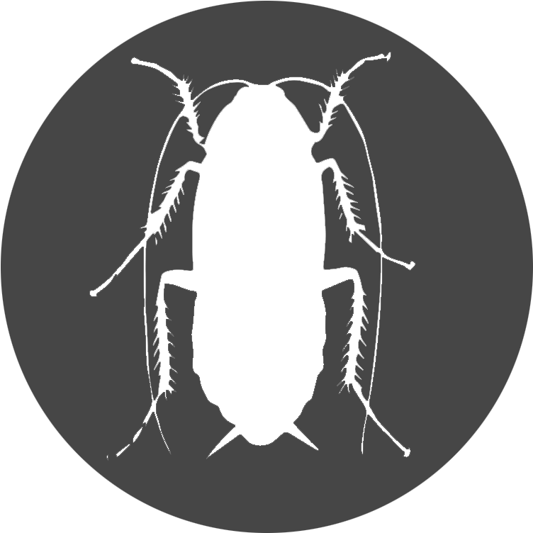 Cockroach Silhouette Graphic PNG Image