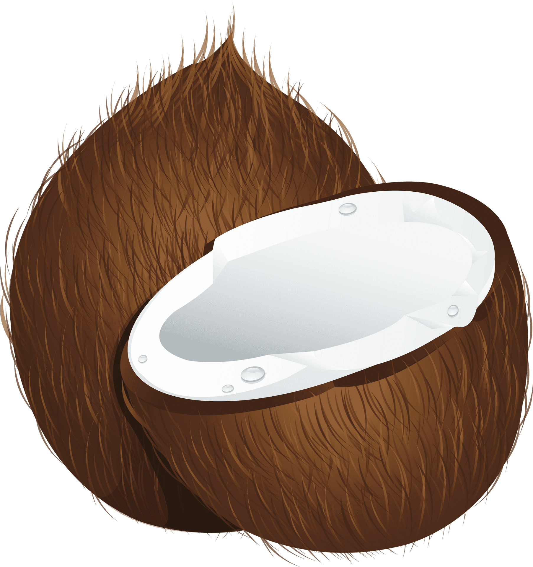 Coconut Half Illustration PNG Image