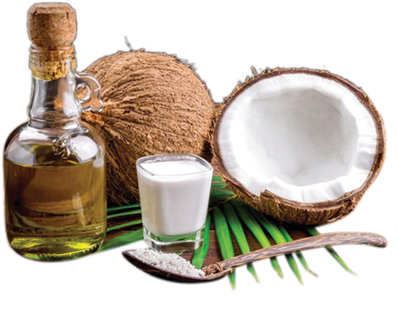 Coconut Products Display PNG Image