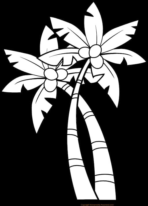 Coconut Trees Blackand White Illustration PNG Image