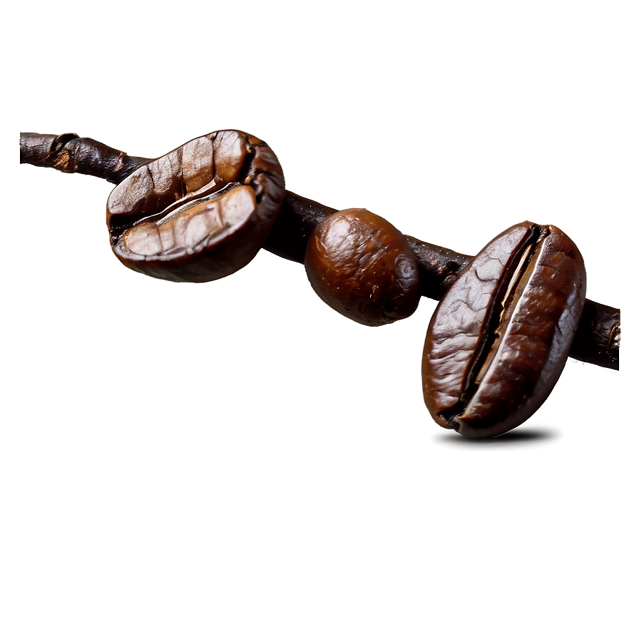 Coffee Beans Aroma Png Nmo4 PNG Image