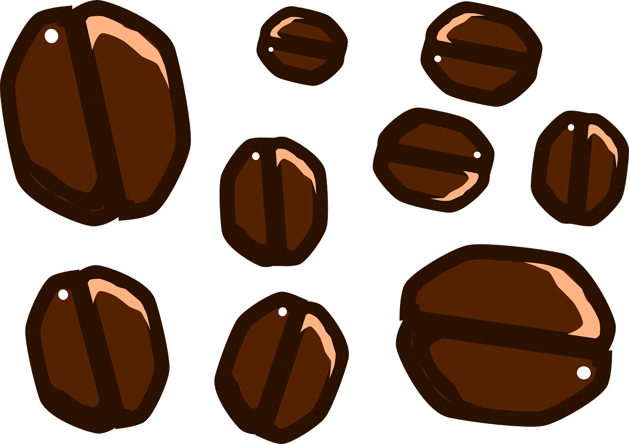 Coffee Beans Illustration PNG Image