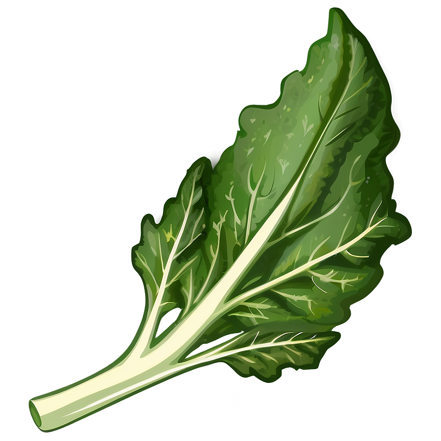 Collard Greens Drawing Png 5 PNG Image