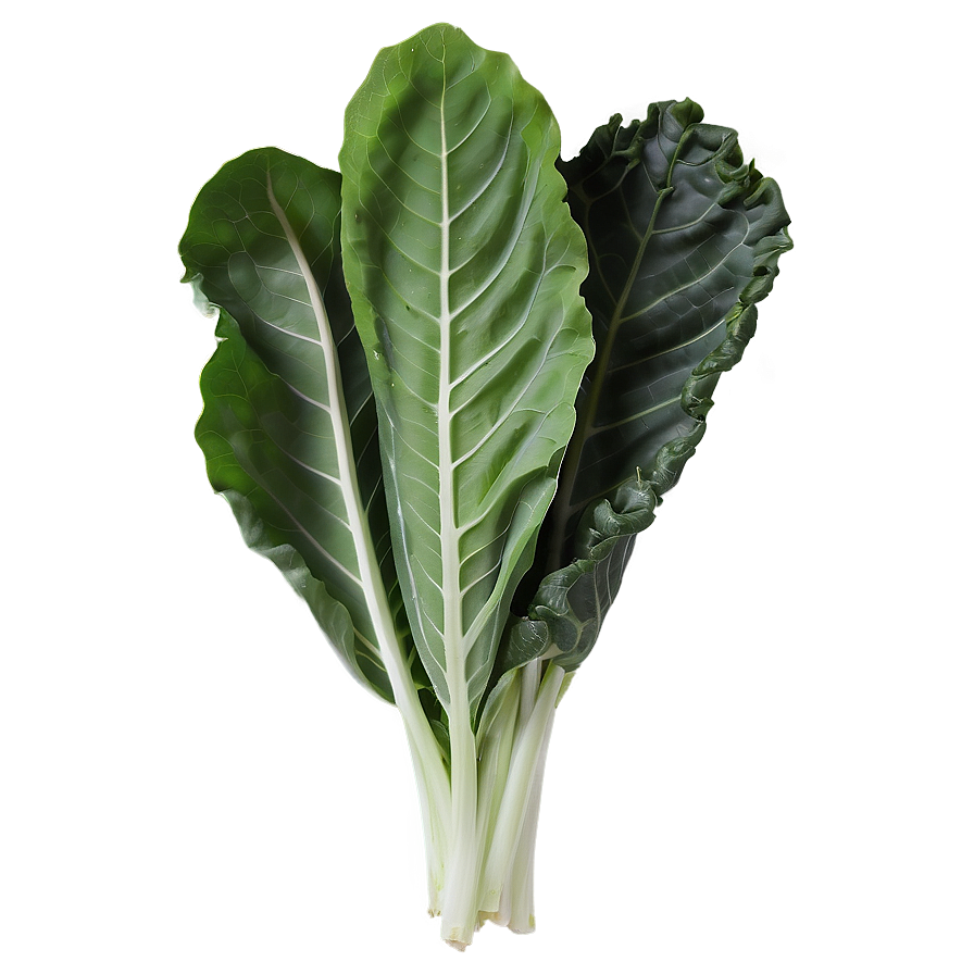 Collard Greens Drawing Png Gff PNG Image